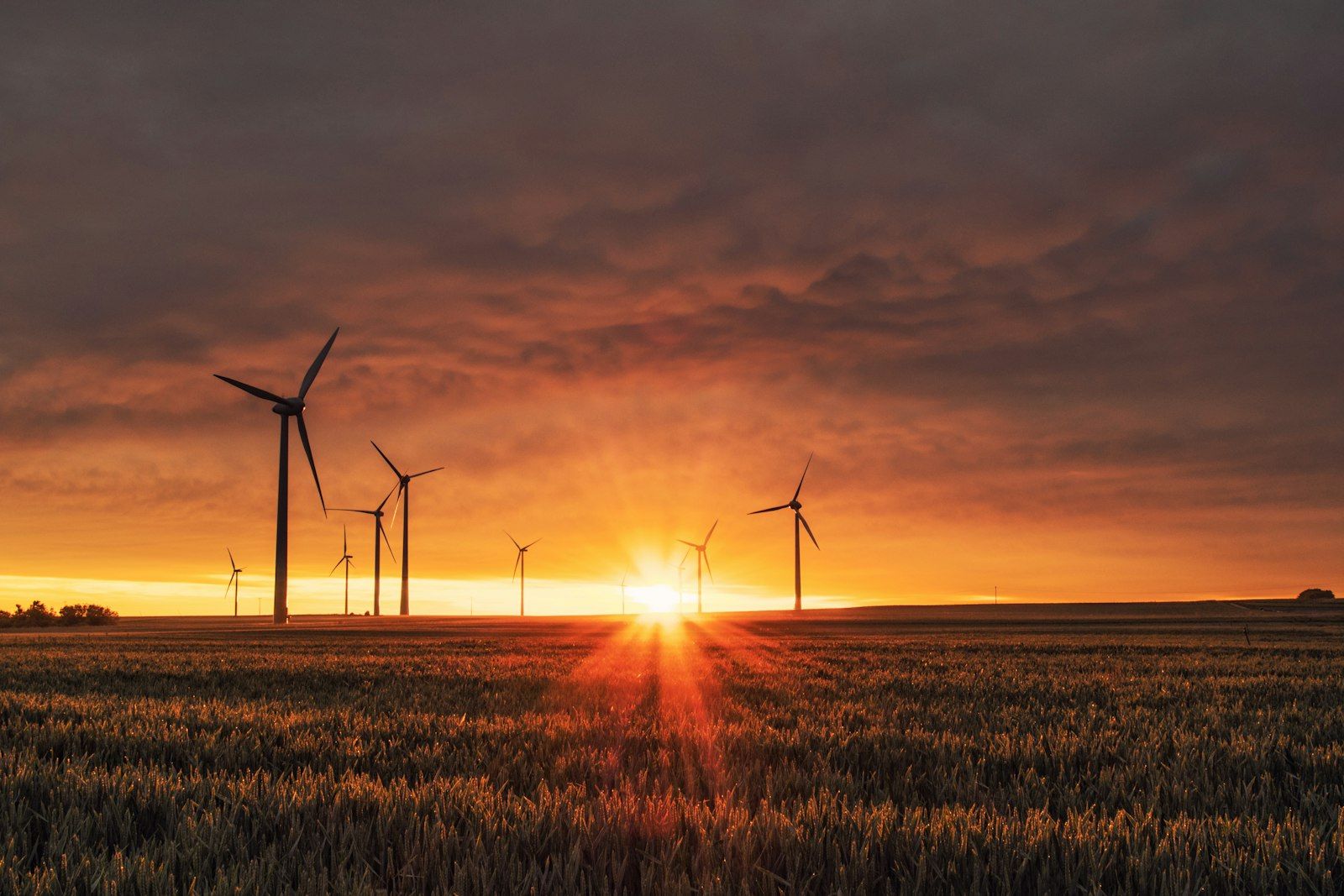 Wind turbines in green landscape at golden hour, symbolizing climate innovation
